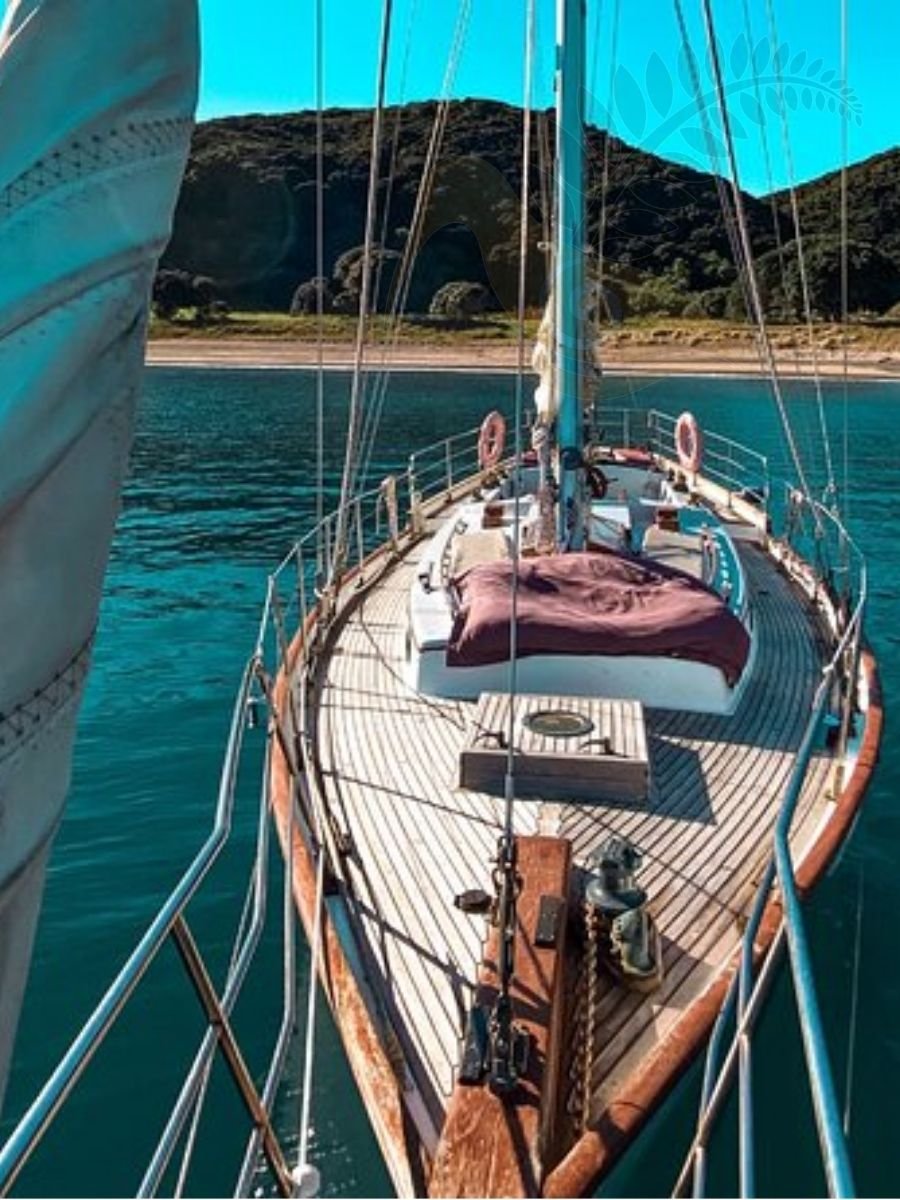 Private sailing Bay of Islands New Zealand