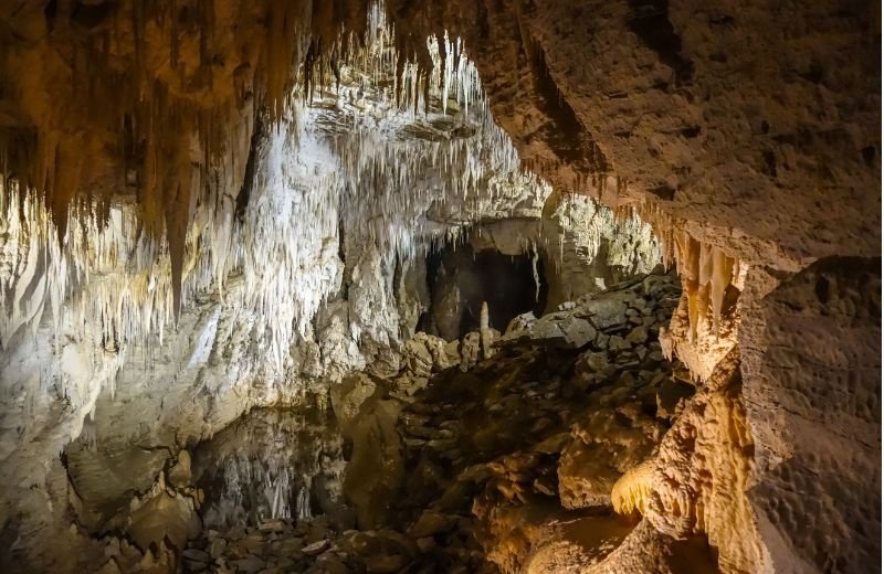 Waitomo Glowworm Caves