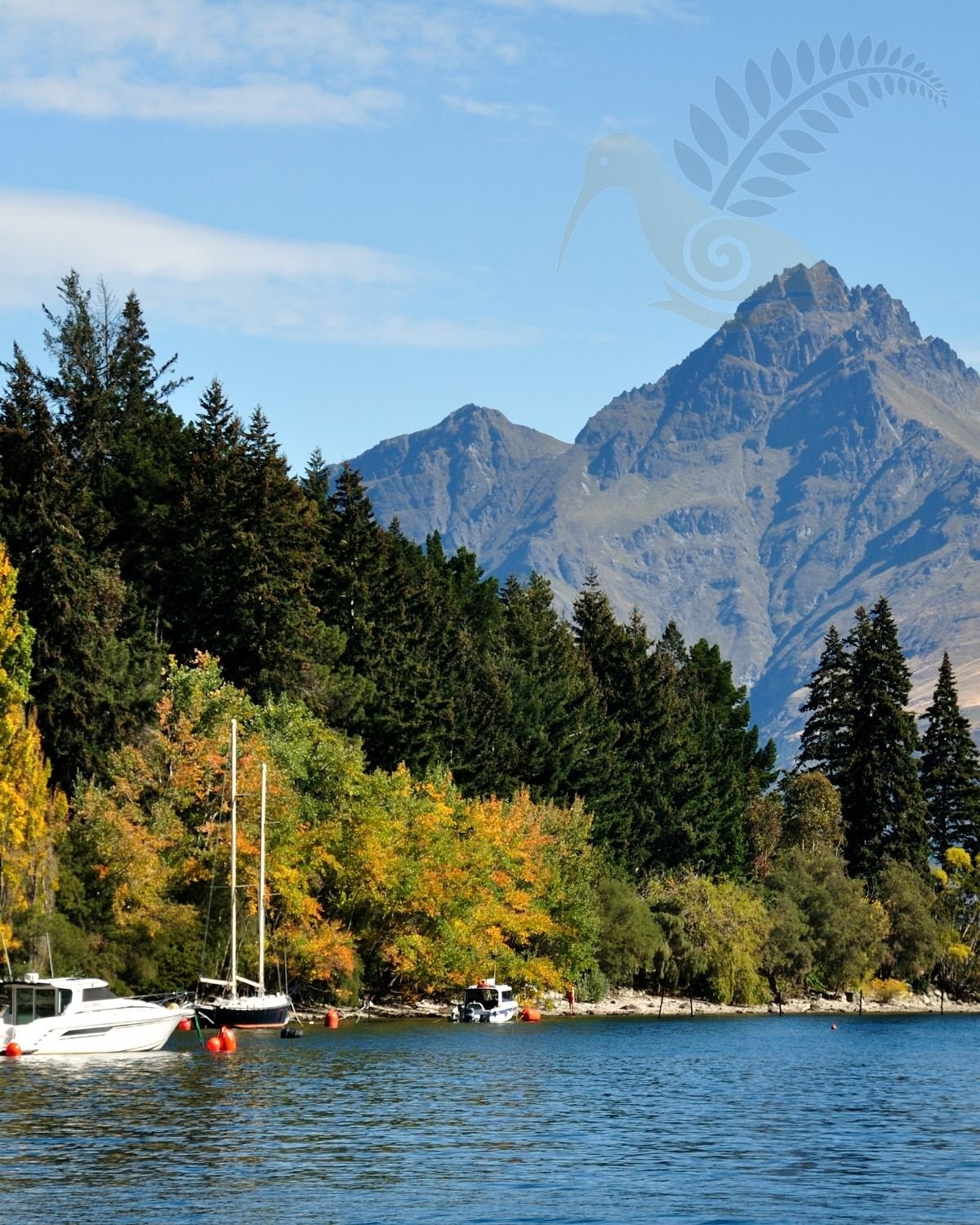 Queenstown from the Remarkables