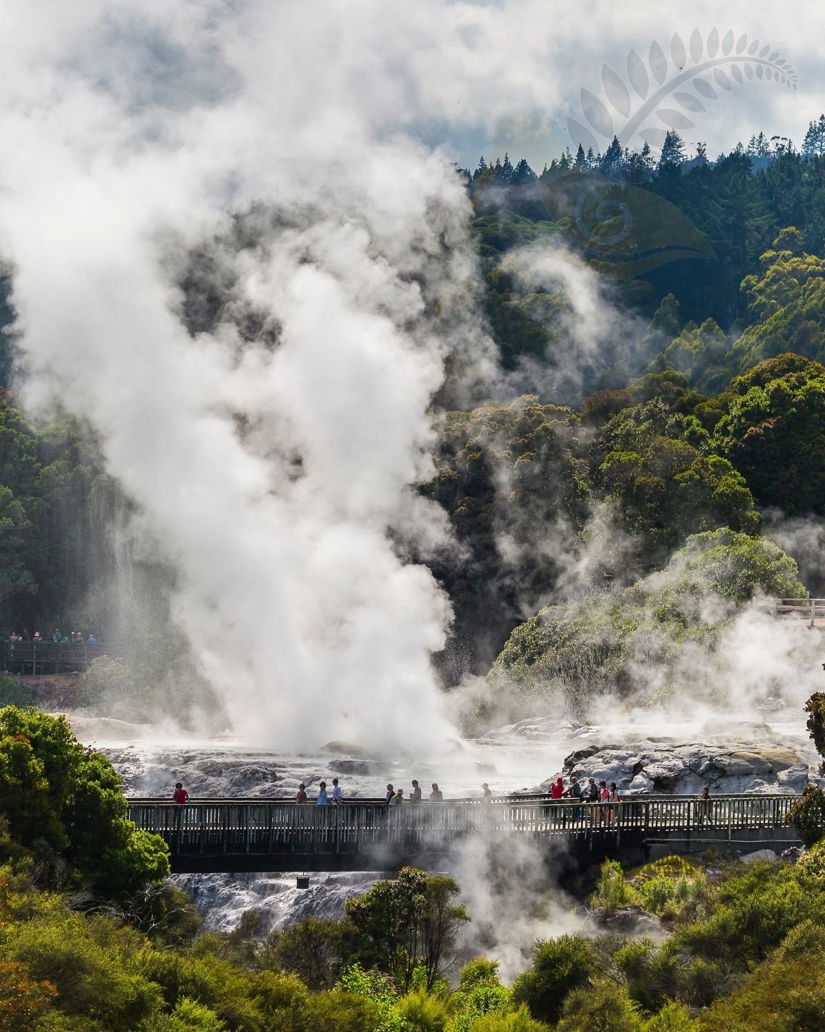 Rotorua geothermal landscape