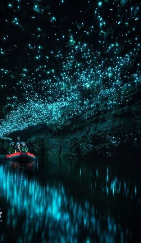Waitomo Glowworms by Private Boat - After Dark