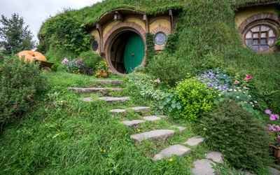 Auckland to Rotorua via Hobbiton Movie Set