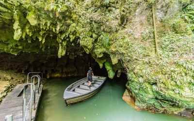 Auckland to Rotorua via Waitomo Caves