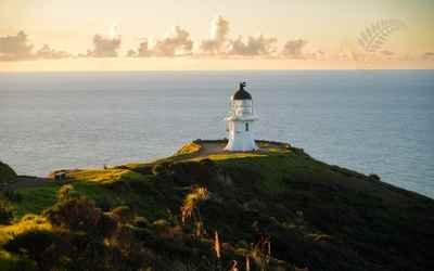 Auckland's Wild West Coast & Black Sand Beaches
