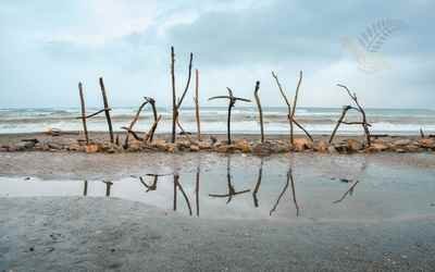 Christchurch to Franz Josef via Hokitika