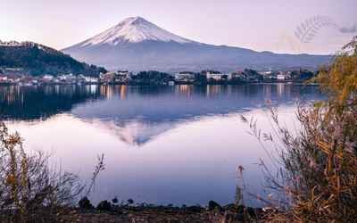 Mt Cook & Lake Tekapo Day Tour from Christchurch