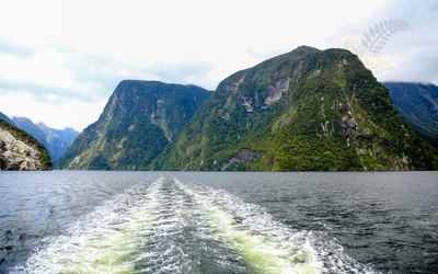 Queenstown to Te Anau via Milford Sound Cruise