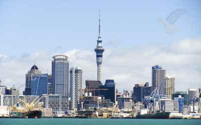 Ultimate Auckland Experience Tour